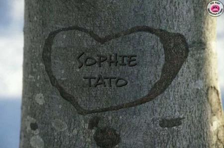 kikou tato !!!